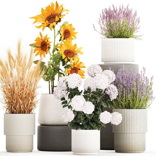Set of beautiful plants and flowers in flowerpot 1307 3D Model .c4d .max .obj .3ds .fbx .lwo .lw .lws