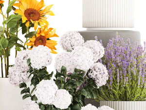 Set of beautiful plants and flowers in flowerpot 1307 Modello 3D