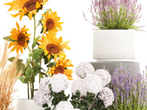 Set of beautiful plants and flowers in flowerpot 1307 Modello 3D