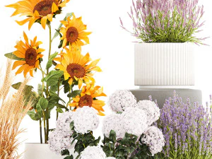 Set of beautiful plants and flowers in flowerpot 1307 3D Model