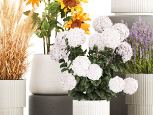 Set of beautiful plants and flowers in flowerpot 1307 Modello 3D
