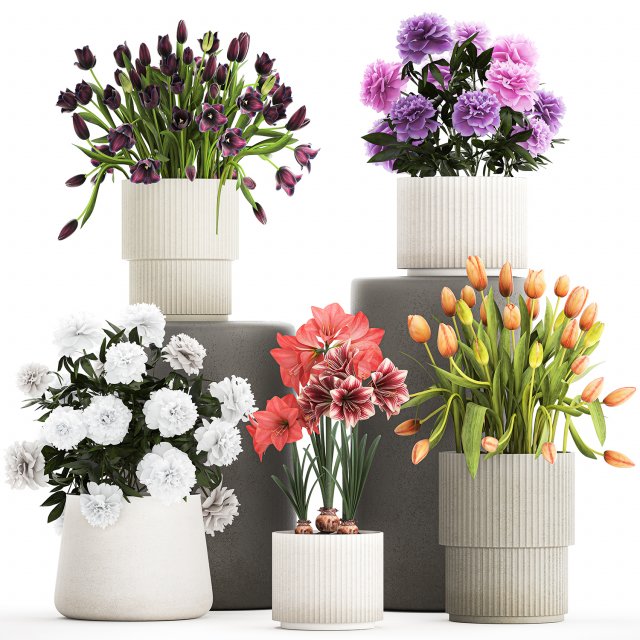 Set of beautiful plants and flowers in flowerpots 1308 Modèle 3D .c4d .max .obj .3ds .fbx .stl .blend 