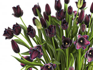 Set of beautiful plants and flowers in flowerpots 1308 3D Model