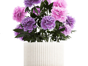 Set of beautiful plants and flowers in flowerpots 1308 Modèle 3D