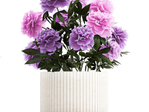 Set of beautiful plants and flowers in flowerpots 1308 3D Model
