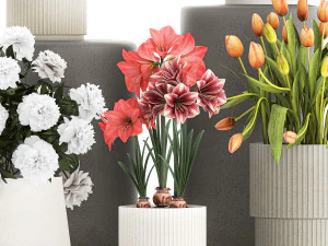 Set of beautiful plants and flowers in flowerpots 1308 3D Model