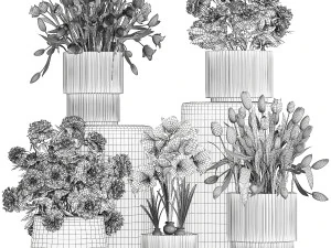 Set of beautiful plants and flowers in flowerpots 1308 3D Model