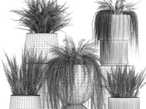 Beautiful bush plants Asparagus aethiopicus flowerpot 1311 Modelo 3D