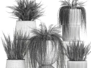 Beautiful bush plants Asparagus aethiopicus flowerpot 1311 3D Model