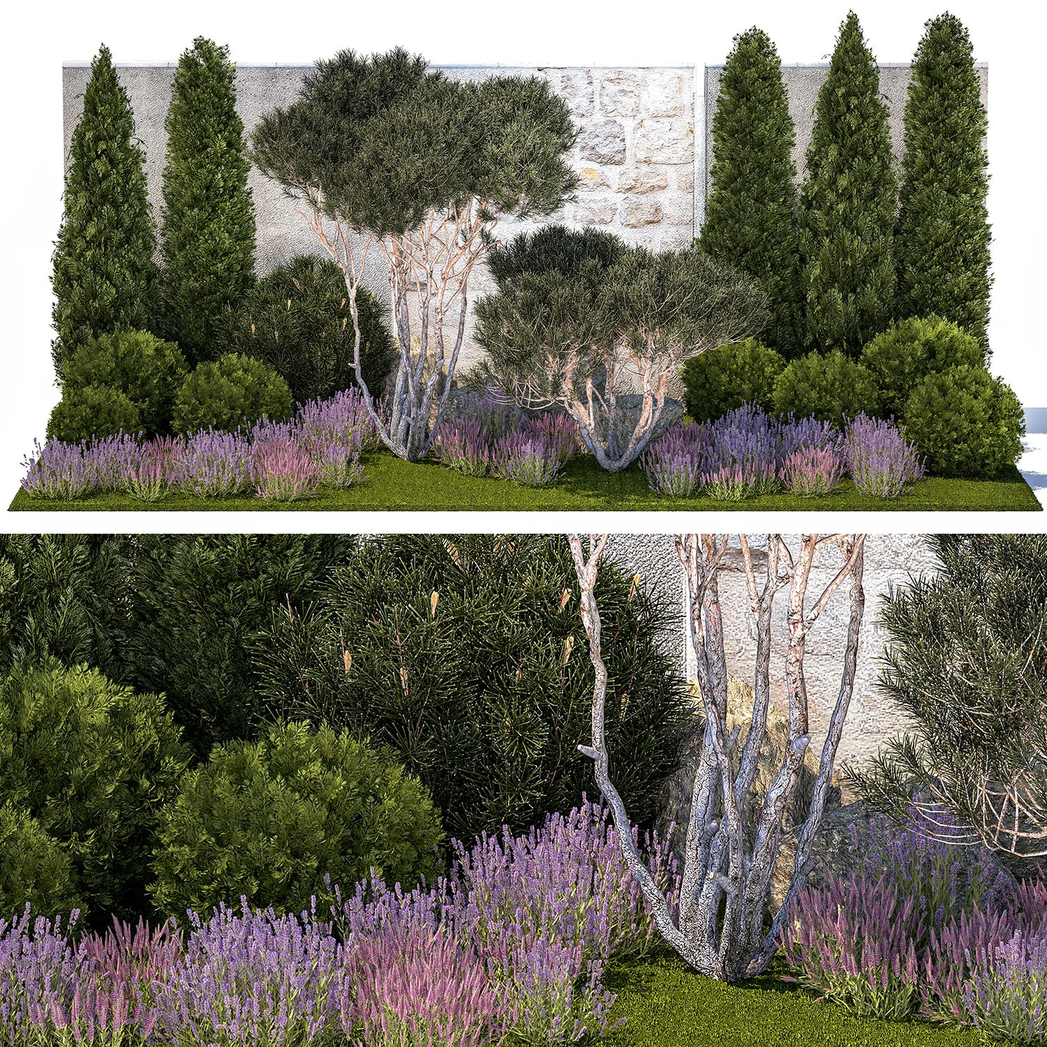 Garden with thuja trees and pine topiary lavender bushes 1314 3D Model .c4d .max .obj .3ds .fbx .stl .blend
