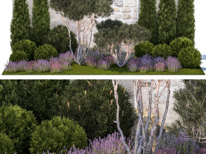 Garden with thuja trees and pine topiary lavender bushes 1314 3D Model