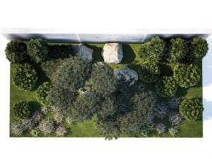 Garden with thuja trees and pine topiary lavender bushes 1314 3D मॉडल