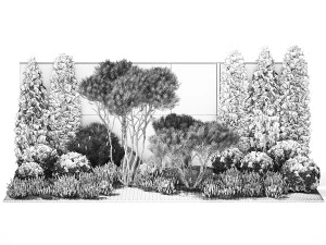 Garden with thuja trees and pine topiary lavender bushes 1314 3D Model