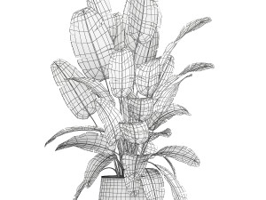 Beautiful Strelitzia bush plants in a flower pot 1315 Model 3D