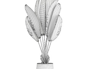 Beautiful Strelitzia Ravenala bush plants in a flower pot 1316 3D Модель
