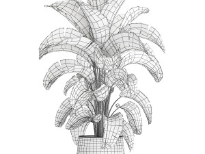 Beautiful Strelitzia Bush Plants In A Flowerpot 1319 3D 모델