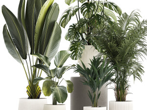 Set of beautiful plants in a flower pot for decor 1320 3D Model