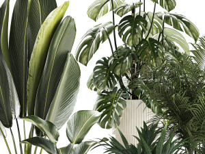 Set of beautiful plants in a flower pot for decor 1320 Model 3D