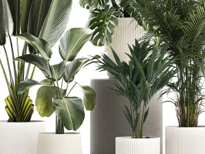 Set of beautiful plants in a flower pot for decor 1320 3D Model