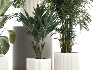 Set of beautiful plants in a flower pot for decor 1320 3D Model