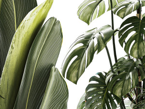 Set of beautiful plants in a flower pot for decor 1320 Model 3D