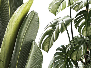 Set of beautiful plants in a flower pot for decor 1320 3D Model