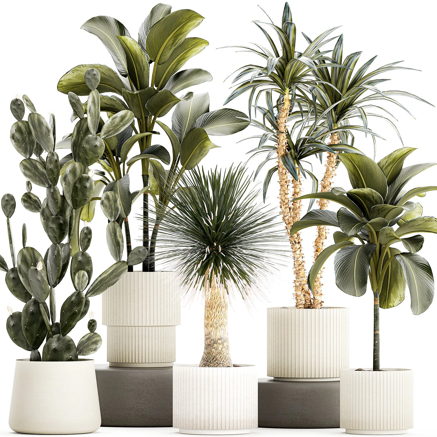 Set of beautiful desert plants in flowerpots for decor 1321 3D Model .c4d .max .obj .3ds .fbx .stl .blend 