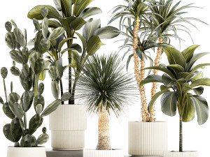 Set of beautiful desert plants in flowerpots for decor 1321 3D Model