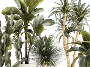 Set of beautiful desert plants in flowerpots for decor 1321 3D Model
