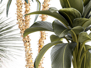 Set of beautiful desert plants in flowerpots for decor 1321 Modelo 3D