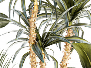 Set of beautiful desert plants in flowerpots for decor 1321 Modelo 3D