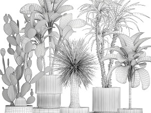 Set of beautiful desert plants in flowerpots for decor 1321 Modelo 3D