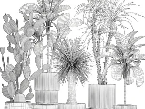Set of beautiful desert plants in flowerpots for decor 1321 3D Model