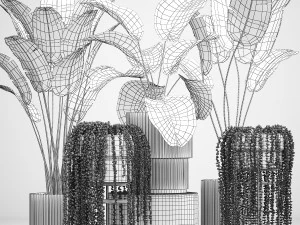 Beautiful Strelitzia and Calathea lutea plants in a flower pot 1322 3D Model
