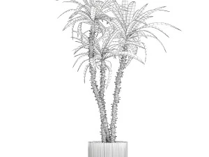 Beautiful Yucca and Dracaena plants in a flower pot 1323 3D Model