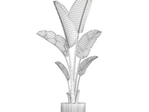Beautiful Strelitzia and Ravenala plant in a flower pot 1325 Model 3D