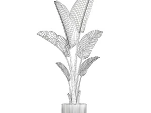 Beautiful Strelitzia and Ravenala plant in a flower pot 1325 3D Model