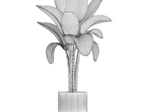 Beautiful Strelitzia and Ravenala plant in a flower pot 1326 Modello 3D