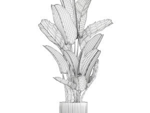 Beautiful Strelitzia and Ravenala plant in a flower pot 1328 3D 模型