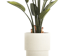 Beautiful Strelitzia and Ravenala plant in a flower pot 1329 3D Model