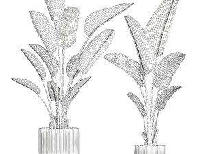 Beautiful Strelitzia and Ravenala plant in a flower pot 1329 3D Model