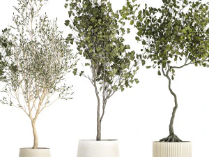 Set Of Beautiful Trees In Pots For Decoration 1331 3D Model