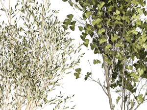 Set Of Beautiful Trees In Pots For Decoration 1331 3D Model