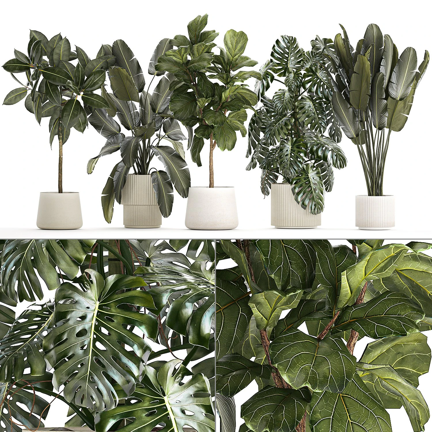 Set of beautiful plants and trees in pots for decoration 1322 3D Model .c4d .max .obj .3ds .fbx .stl .blend