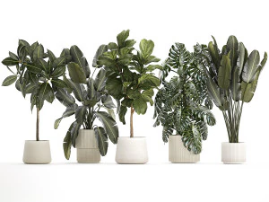 Set of beautiful plants and trees in pots for decoration 1322 3D Model