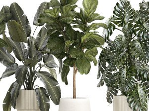 Set of beautiful plants and trees in pots for decoration 1322 3D मॉडल