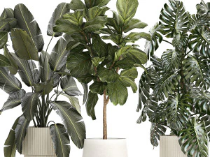 Set of beautiful plants and trees in pots for decoration 1322 3D Model