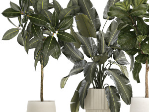 Set of beautiful plants and trees in pots for decoration 1322 3D मॉडल