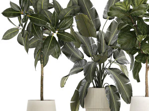 Set of beautiful plants and trees in pots for decoration 1322 3D Model