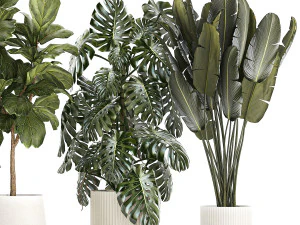 Set of beautiful plants and trees in pots for decoration 1322 3D Model